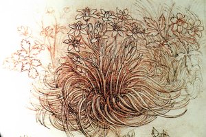 çiçek by Leonardo da Vinci